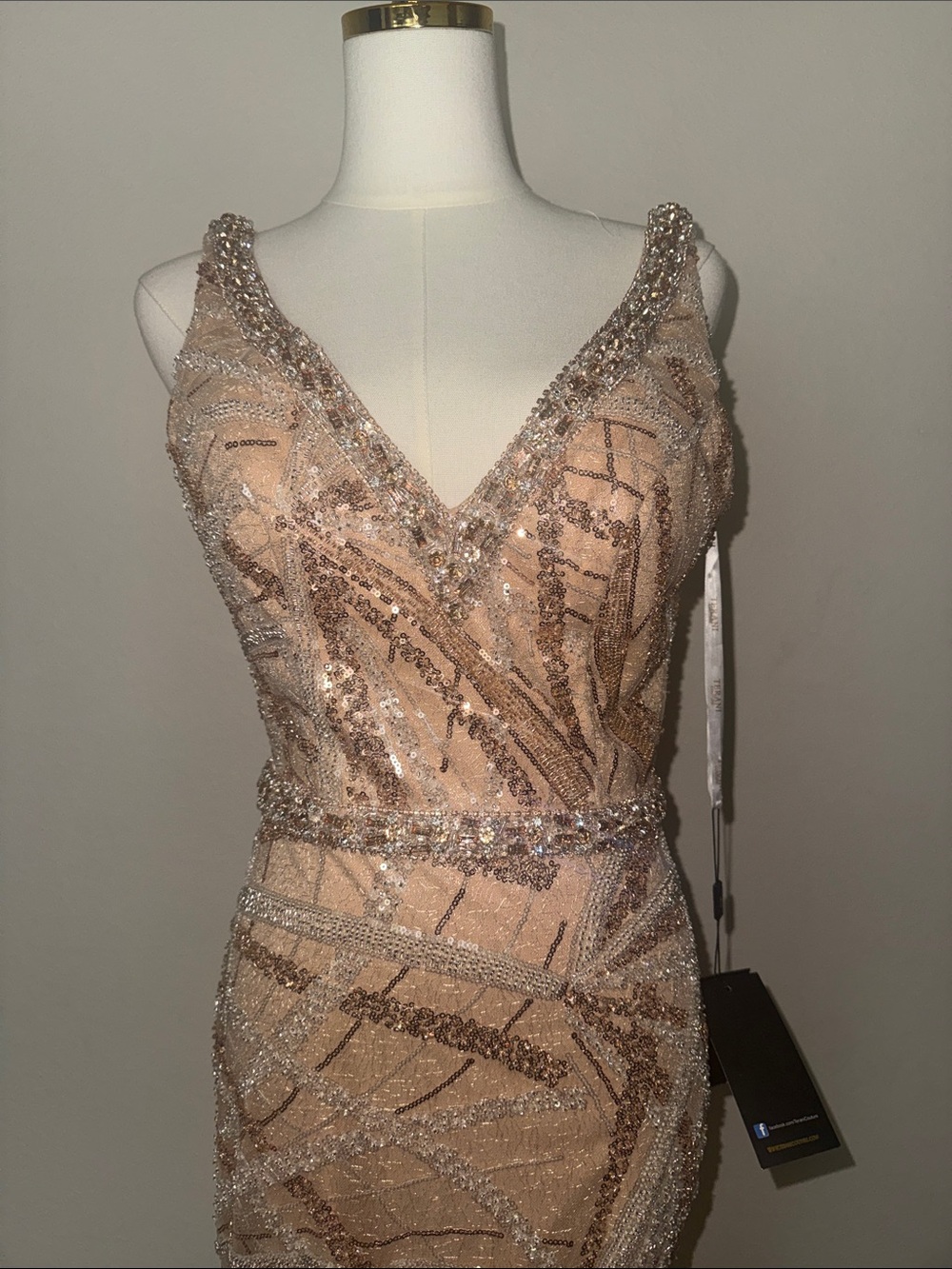 Terani Couture Sequin Embellished V-Neck Gown in Champagne Blush